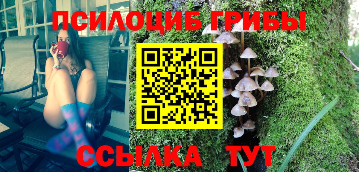 цена   Псилоцибиновые грибы прущие грибы  Вход с VPN  Сертолово 