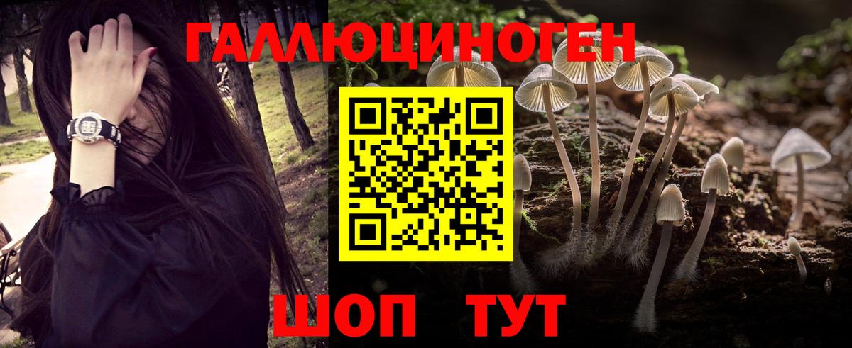 Галлюциногенные грибы мухоморы Сертолово